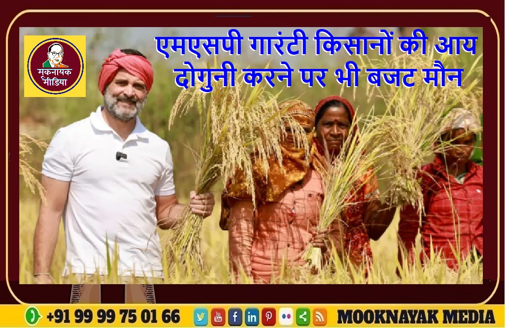 एमएसपी गारंटी किसानों की आय दोगुनी करने पर भी बजट मौन